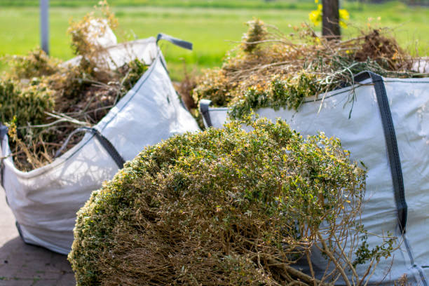 Best Yard Waste Removal  in Virginia Gardens, FL